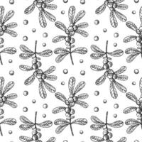 Hand drawn seamless pattern with Cranberry. Engraving repeating background with northern cranberry plant, berries, branch, fruits. Floral motif for design label, card, print, wrapping, paper vector