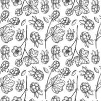 Seamless pattern with Cloudberry, Raspberry fruit plants. Hand drawn vintage repeating background with berries for design, wrapping, sign, print, paper, card, textile. Healthy food, medicine vector