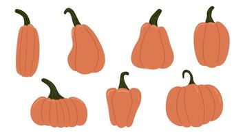 Pumpkins of different shape set. background autumn vector