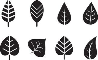 Set of black leaf icon illustration on white background vector