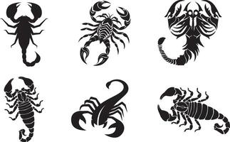 Set of scorpion insects icon design on white background vector