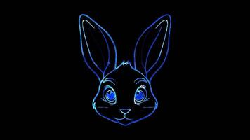Rabbit rabbit with long ears and a twitchy nose, looking playful. video