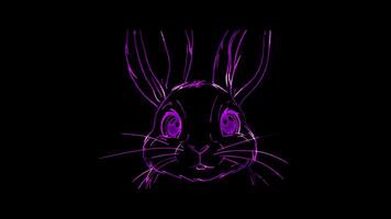 Rabbit rabbit with long ears and a twitchy nose, looking playful. video
