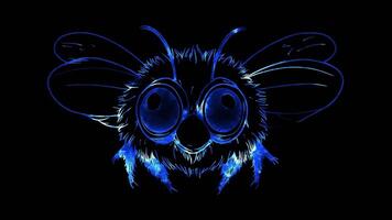 Neon frame effect, Bee buzzing bee with big eyes and fluffy stripes, ready to fly on black background video
