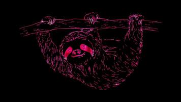 Neon frame effect, Sloth relaxed sloth hanging from a branch, with a peaceful expression. on black background video