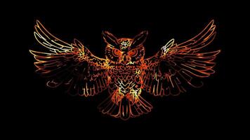 Neon frame effect, owl spread wings on black background video