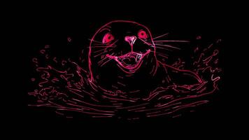 Neon frame effect, Seal playful seal with whiskers and a joyful smile, splashing in the water on black background video