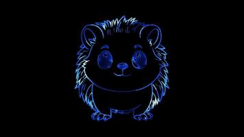 neon ram effekt, igelkott igelkott med mycket liten fötter och en vänlig ansikte på svart bakgrund video