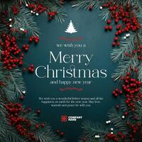 Merry Christmas Greeting Post template