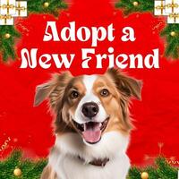 Adopt a New Friend Instagram Post template