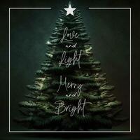 Christmas Seasonal Greeting Instagram Post Template