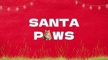 Santa Paws Facebook Mobile Cover template