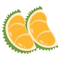 asian fruit Durian is a king of fruit vector