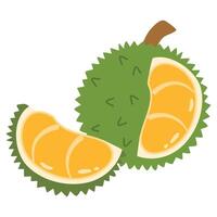 tropical fruit, Durian is a king of fruit vector