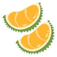 Durian is a king of fruit, asian fruit vector