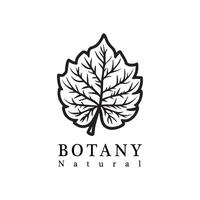 Natural Botany Logo, Symbol of Simplicity and Naturalness vector
