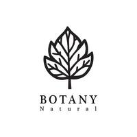 Minimalist Logo Design with Leaf Elements for Natural Products vector