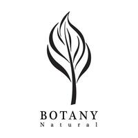 Natural Botany, Visual Identity with an Elegant and Natural Touch vector