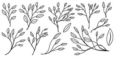 Hand drawn line art of plant in different variations for gardening element, coloring, template or pattern isolated. vector