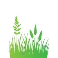illustrations in flat style. green leaf. Grass vector