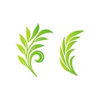 Green leaf ecology nature element vector