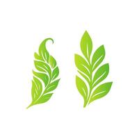 Flat green leaves on white background vector
