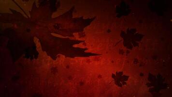 Happy Thanksgiving Red Leaf Falling 4K Loop features leaves falling in a red particle atmosphere with animated text flowing and leaves revealing a Happy Thanksgiving message in a loop video