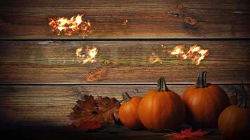Happy Thanksgiving Flaming Wooden Wall 4K Loop features a wall of old barn wood with pumpkins and leaves on a table in front and the words Happy Thanksgiving animating on the wood in flames in a loop video