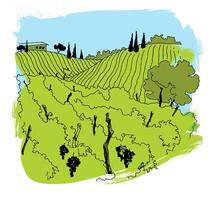 Illustration of vineyard landscape with rolling hills, grapevines, and cypress trees. outlined in black, creating for wine-themed design vector