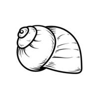 snail shell drawing coloring line art style sketch classic vintage design illustration vector
