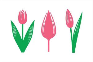flower , simple nature flower tulip art illustration vector