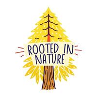 A flat sticker of pine tree with text rooted in nature vector