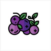 A purple fruit with a green leaf on it vector