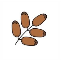 A brown nut with two seeds on it vector