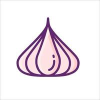 A garlic bulb on a white background vector