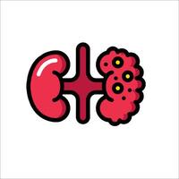 An illustration of a kidney and a bladder vector
