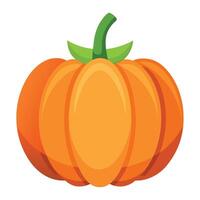 An orange pumpkin on a white background vector