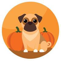 Pug dog with pumpkins and pumpkin vector