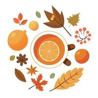 Autumn leaves and orange tea vector