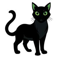 A black cat with green eyes is standing in front of a white background vector
