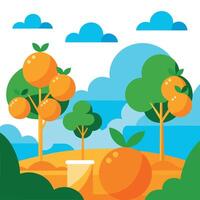 An orange tree with oranges on it vector
