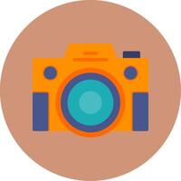Compact Camera Flat Multi Color Icon vector