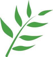 A green leaf on a white background vector
