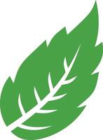 A green leaf icon on a white background vector