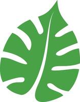A green leaf with a white background vector