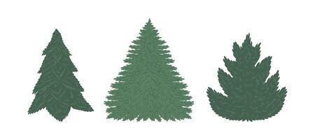 Set of Christmas tree is hand drawn in a flat style. Hand drawn illustration. vector
