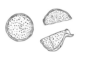 Aromatic juicy pitahaya slices with pulp hand drawn illustration painted by black inks. Exotic dragon fruit etching drawing set for tropical decor, recipe and menu design vector