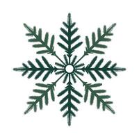 a snowflake is shown on a white background vector