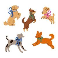 Set of cute different dogs with bows on their necks. graphics. vector