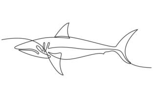 Continuous one line drawing of shark fish vector